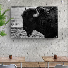 Load image into Gallery viewer, Black and White Bison Canvas Wall Art