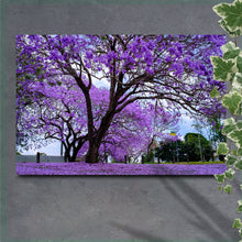Load image into Gallery viewer, Jacaranda Trees Canvas Wall Art