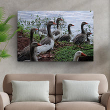 Load image into Gallery viewer, Flock Of Domestic Geese Canvas Wall Art