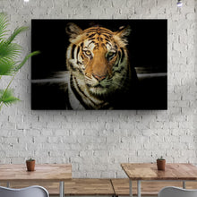 Load image into Gallery viewer, Lurking Tiger In The Dark Canvas Wall Art