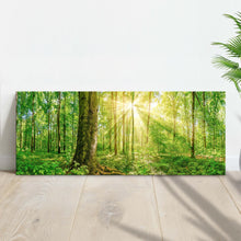 Load image into Gallery viewer, Golden Rays Into The Forest Canvas Wall Art