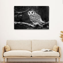 Load image into Gallery viewer, Black And White Owl Canvas Wall Art