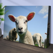 Load image into Gallery viewer, Curious Lamb Canvas Wall Art