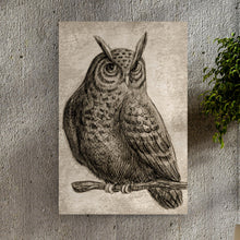Load image into Gallery viewer, Owl Pencil Sketch Portrait Canvas Wall Art