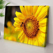 Load image into Gallery viewer, Bee On Sunflower Canvas Wall Art