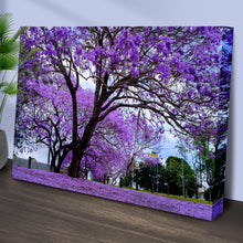Load image into Gallery viewer, Jacaranda Trees Canvas Wall Art