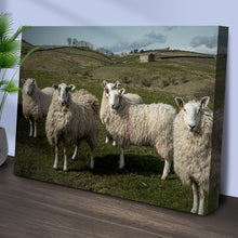 Load image into Gallery viewer, Flock Of Sheep Canvas Wall Art