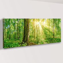 Load image into Gallery viewer, Golden Rays Into The Forest Canvas Wall Art
