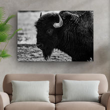 Load image into Gallery viewer, Black and White Bison Canvas Wall Art
