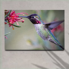 Load image into Gallery viewer, Hummingbird Spring Canvas Wall Art