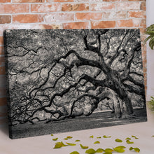 Load image into Gallery viewer, Monochrome Angel Oak Tree Canvas Wall Art