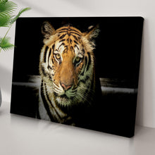 Load image into Gallery viewer, Lurking Tiger In The Dark Canvas Wall Art