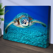 Load image into Gallery viewer, Green Sea Turtle Canvas Wall Art