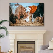 Load image into Gallery viewer, Family Of Hereford Cattle Canvas Wall Art