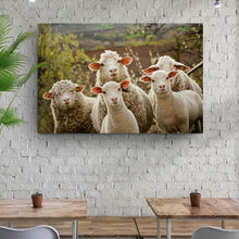 Load image into Gallery viewer, Curious Sheep Canvas Wall Art