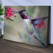Load image into Gallery viewer, Hummingbird Spring Canvas Wall Art