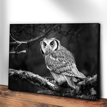 Load image into Gallery viewer, Black And White Owl Canvas Wall Art