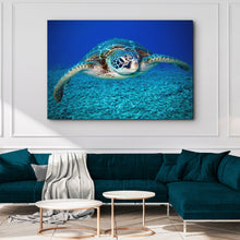Load image into Gallery viewer, Green Sea Turtle Canvas Wall Art