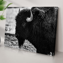 Load image into Gallery viewer, Black and White Bison Canvas Wall Art