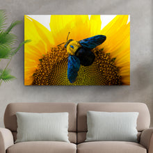 Load image into Gallery viewer, Bee Hoverfly Above A Sunflower Canvas Wall Art