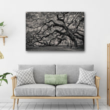 Load image into Gallery viewer, Monochrome Angel Oak Tree Canvas Wall Art