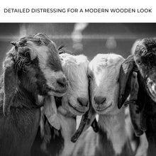 Load image into Gallery viewer, Black And White Baby Goats Canvas Wall Art