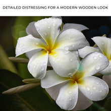 Load image into Gallery viewer, White Frangipani Flower Canvas Wall Art