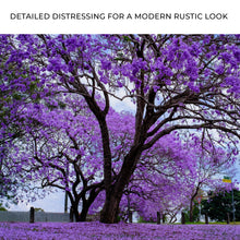 Load image into Gallery viewer, Jacaranda Trees Canvas Wall Art