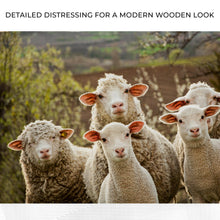 Load image into Gallery viewer, Curious Sheep Canvas Wall Art