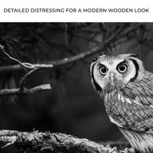 Load image into Gallery viewer, Black And White Owl Canvas Wall Art