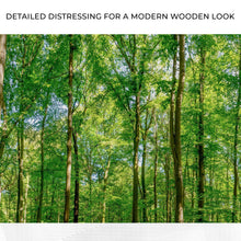 Load image into Gallery viewer, Golden Rays Into The Forest Canvas Wall Art
