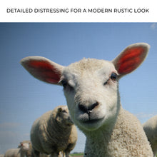 Load image into Gallery viewer, Curious Lamb Canvas Wall Art