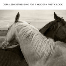 Load image into Gallery viewer, Monochrome Couple Horse Canvas Wall Art