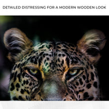 Load image into Gallery viewer, Sneaky Jungle Leopard Portrait Canvas Wall Art