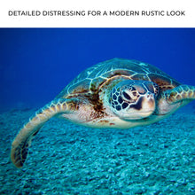 Load image into Gallery viewer, Green Sea Turtle Canvas Wall Art