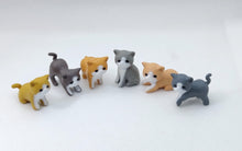 Load image into Gallery viewer, Spa Pure Kittens in Basket: 6 Adorable Kittens Bath Bombs