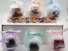 Load image into Gallery viewer, Spa Pure Kittens in Basket: 6 Adorable Kittens Bath Bombs