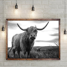 Load image into Gallery viewer, Highland Cow Black And White Portrait Canvas Wall Art